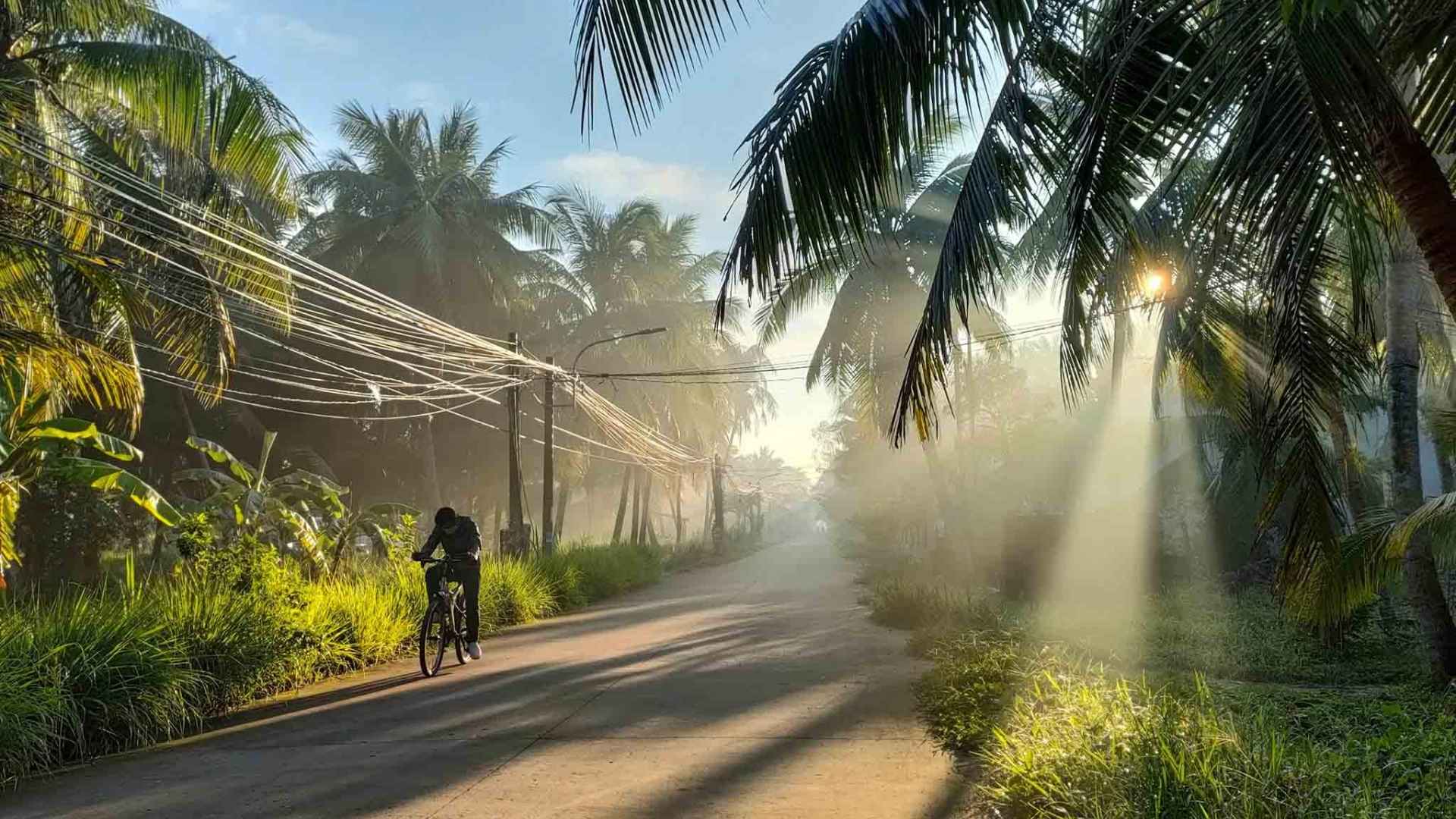 Pedal through emerald landscapes